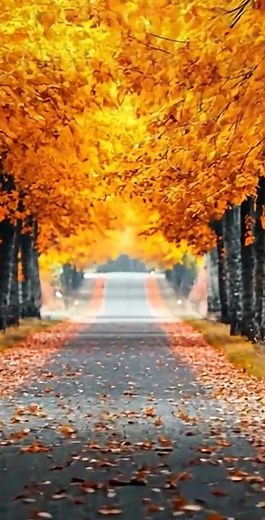 Relaxing Autumn October 🍁 Great Relaxing Music ~ Cozy Autumn Vibes