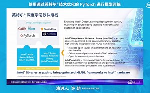 使用通过英特尔技术优化的PyTorch进行模型训练