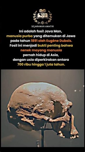 Tengkorak Purba dari Indonesia yang Mendunia 🔥