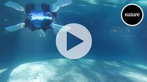 Researchers have created a new amphibious robot, with limbs capable of morphing between flippers and legs. The robot was inspired by turtles and tortoises and uses smart, soft materials to create its adaptable parts. Read the Nature paper: https://go.nature.com/3Fe8Jd7 | Nature Portfolio