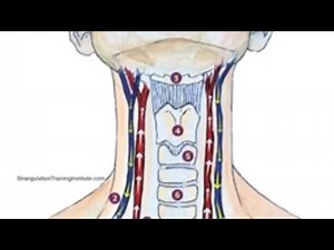 Strangulation - A Predictor of Future Violence