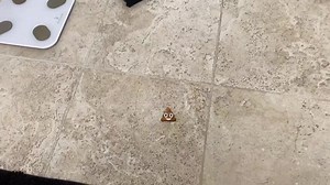 19K views · 248 reactions |  OMG! This is great. Click to see the full video!  https://youtu.be/6OlRrYifDA0 | Honey Boo Boo | Facebook