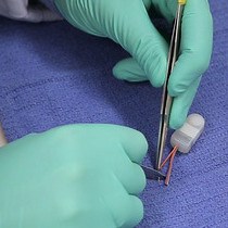 Video: Repeated Measurement of Respiratory Muscle Activity and Ventilation in Mouse Models of Neuromuscular Disease