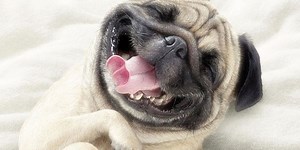 10 Things To Make You Smile