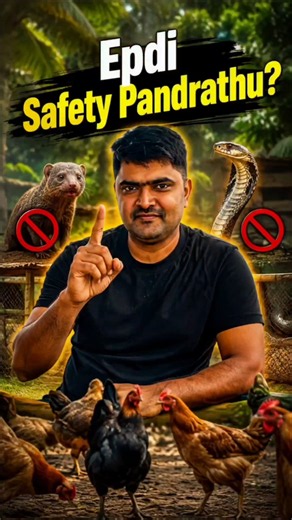 Safety Comes First #bitsoflife #gokulamfarms #chicken #farming #tips #trending #viral #shorts