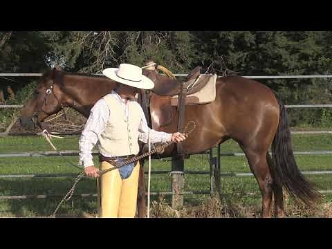 Tie Strings - Handy Horseman Tips by M & M Horsemanship