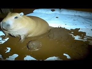 Top 5 Scariest Jumpscare