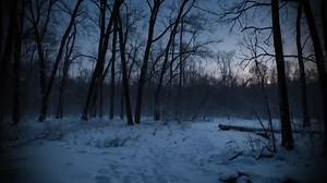 3 Disturbing TRUE New Year's Eve Horror Stories Part 21 #Mrnightmare #mrnightmare #Mrnightscares #mrnightscares #horror #scares | Mr. Nightmare Tv Series