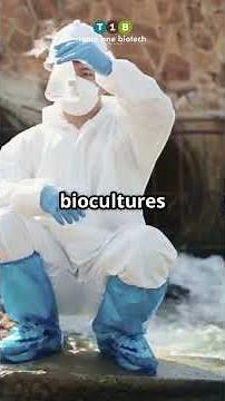 Why Do Activated Sludge Systems Fail? Common Issues Explained │Team One Biotech