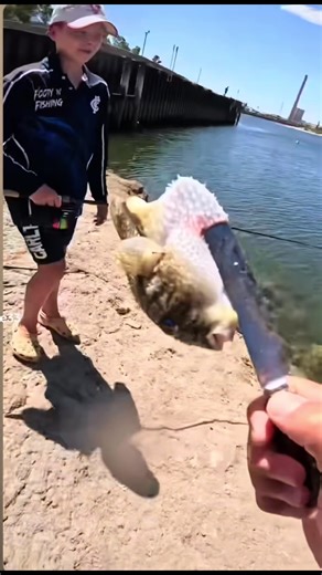 Respect the Fish: A Deep Dive into Fishing Culture