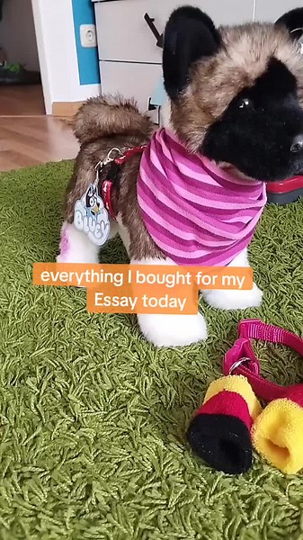 What I Bought for My Essa Today: A Complete Guide
