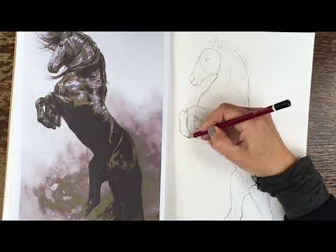 Draw a horse in pencil - horse by Tony O Conner