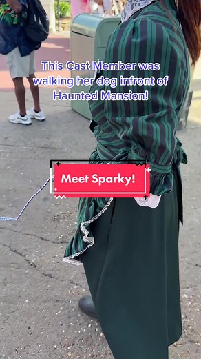 Meet Sparky! The invisible dog! Have you ever seen him at the Haunted Mansion before?!💜🐶 #sparky #hauntedmansion #castmember #dog #magickingdom #disney #disneyparks #disneyworld