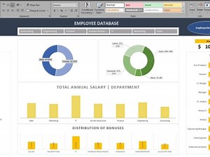 VBA, Excel Reports and Dashboards/Data Visualization