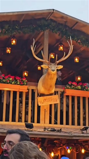 Bern Christmas Market 🎄 #bern #travel #switzerland #viral #trending #shorts #shortvideo
