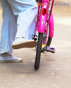 171K reactions · 182 shares | The BSA Ladybird EVITA is the perfect...