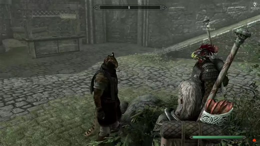 J'Han: A Khajiit Mage in Skyrim Roleplay