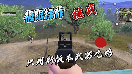 挑战只用新版本出的武器吃鸡