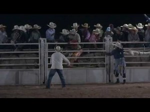 Logg's Bull Riding Chute-Out