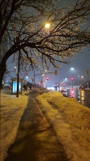 Winter Night Ice — Crystal Tree Under Streetlights 20251228 180150
