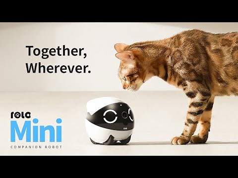 Say hello to Enabot ROLA MINI: your family’s newest companion robot!