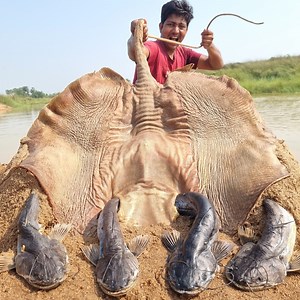 215K views · 1.2K reactions | Top 10 Big Monster Fishing Video River Dry Place Deep Underground Hole By Hand #fishing | Discovery Site | Facebook