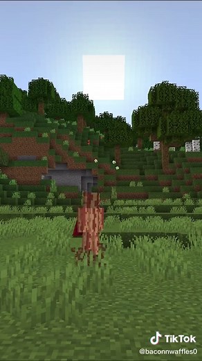 Exploring Minecraft Landscapes in AWAKEN SMP