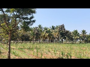 6 acres farm land for sale 7338197726