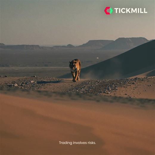 Trade with an award-winning broker. | Tickmill