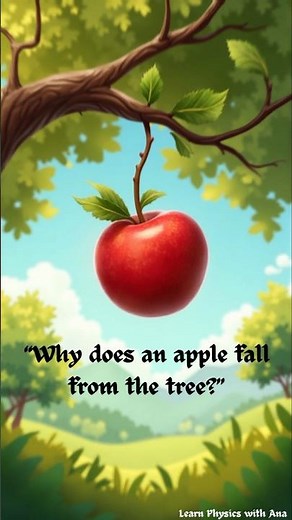 Why does an apple fall from the tree? | Gravity | Educational video