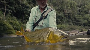 Jungle fly fishing for dorado at Tsimane in June! The 2019 season is underway at Tsimane, and the fishing has been incredible. Check out the sights and sounds of the Bolivian Amazon in a new video from Tsimane. To learn more about this destination, please visit our website: bit.ly/2Fk7CsG Video by Daniel Coimbra. | Tsimane Lodges