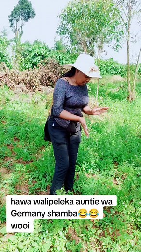 Harvesting Fresh Carrots in a Beautiful Garden