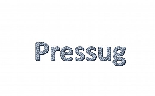 Pressug使用教程