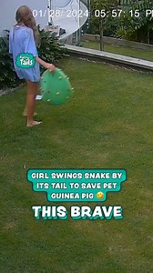 She wasn't going to let the snake eat her pet 🐍💪 | Furry Tails