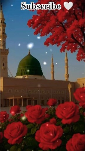 Muslim Hoto Ya Video Do Not Forget ? 🥰🤔