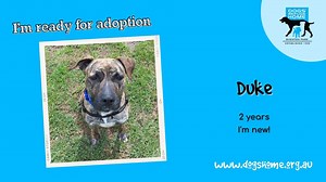 4K views · 127 reactions | We're open today and have plenty of new...