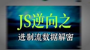 Python爬虫 JS 逆向实战：进制流参数·控制流混淆·算法还原全流程（信用中国案例）