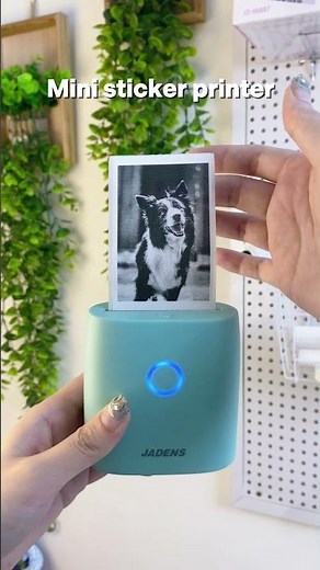 Jadens Label Printer: How to Print Stickers Easily!