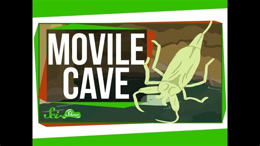 Weird places: Movile Cave