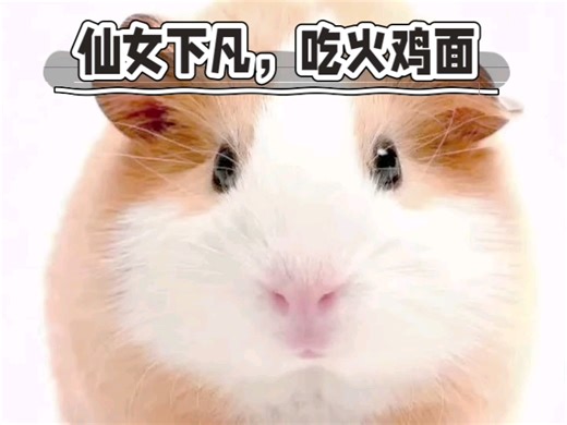 教你如何导入mcpack