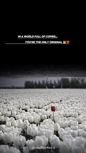 In a World Full of Copies… You’re the Only Original 👑❤️ #shorts #viral #trending