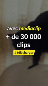 🎥🎶 Avec INA Mediaclip, accédez aux archives exclusives de l'INA pour créer des clips vidéo inédits et percutants. | INA