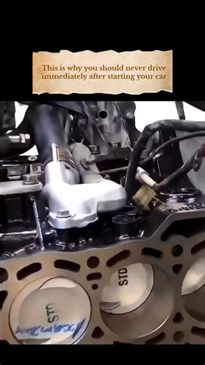 Science | cosmos on Instagram: "When your car's engine is cold, the oil hasn't had a chance to circulate completely, leaving the metal components without proper lubrication. Hitting the road right away can lead to unnecessary wear and tear on the engine, ultimately shortening its lifespan. 🚗💨 To give your engine the best start, it's wise to let it idle for 30 to 60 seconds. This allows the oil to flow and helps the engine reach a safe operating temperature before you hit the gas. @bitzcasino"