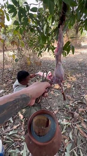 Cooking a Whole Pig: Backyard BBQ Techniques