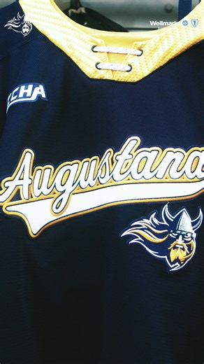 1.6K views · 52 reactions |  Wellmark Blue Cross and Blue Shield ⚔️ #BuildingChampions | Augustana Men's Hockey | Facebook