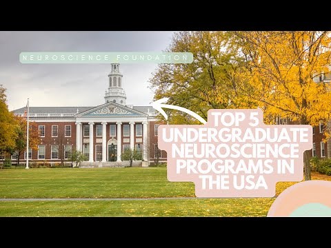 Top 5 Undergraduate Neuroscience Programs in the USA