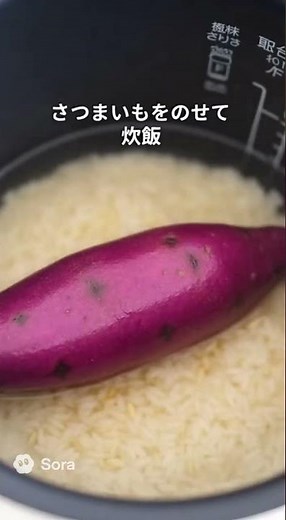 炊飯器に丸ごと入れるだけ！さつまいも1本でホクホク絶品ごはん｜簡単すぎる秋の味覚レシピ