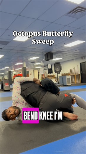 Zuka on Instagram: "Attacking the butterfly sweep from octopus guard. #octopusguard #butterflyguard #hooksweep #bjj #nogi"