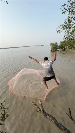 Catching big fish by casting a net from the top of a tree. #shorts #fishing #fishingvideo #funny