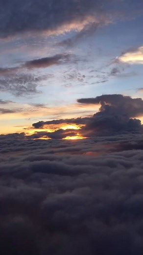 Live Photo and Live Wallpaper Tutorial